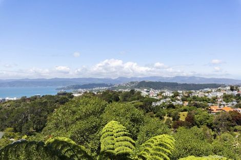 Photo of property in 53 Harbour View Road, Northland, Wellington, 6012