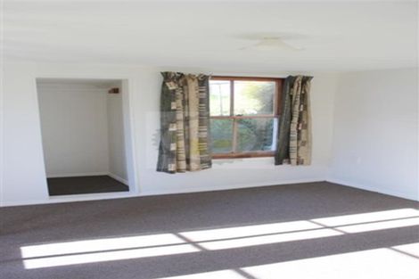 Photo of property in 39 Baldwin Street, North East Valley, Dunedin, 9010