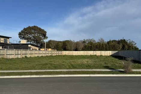 Photo of property in 70 Fairmaid Street, Lincoln, 7608