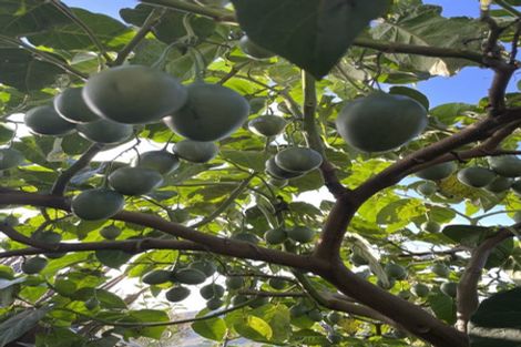 Photo of property in 1377d Manawahe Road, Manawahe, Whakatane, 3194