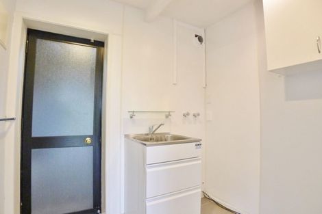 Photo of property in 101a Te Kawa Road, Greenlane, Auckland, 1061