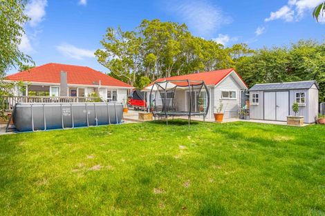 Photo of property in 149 Seabrook Avenue, New Lynn, Auckland, 0600