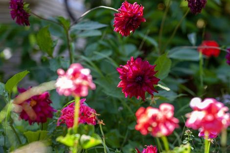 Photo of property in 7 Kawau Grove, Waikanae Beach, Waikanae, 5036