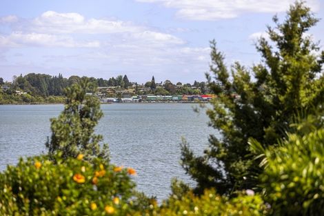 Photo of property in 117 Haukore Street, Hairini, Tauranga, 3112