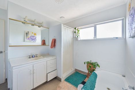 Photo of property in 117 Auckland Road, Greenmeadows, Napier, 4112