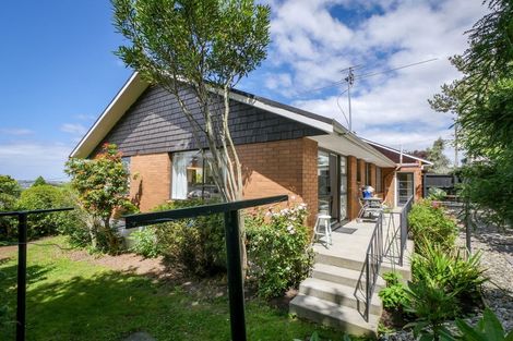 Photo of property in 34b Drivers Road, Maori Hill, Dunedin, 9010