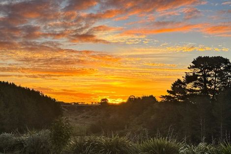 Photo of property in 46 Oakland Lane, Shannon, Palmerston North, 4474