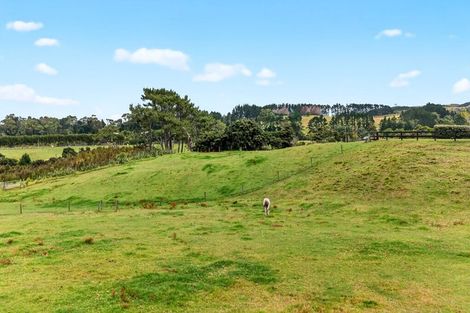 Photo of property in 1014 South Head Road, South Head, Helensville, 0874