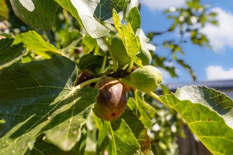 Photo of property in 32 Baker Street, Huntly, 3700