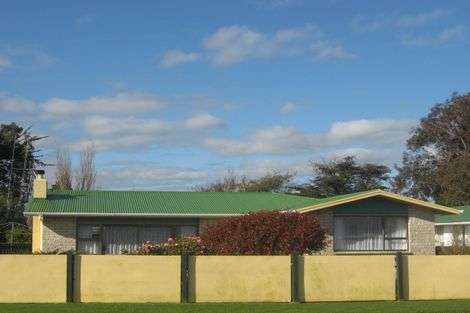 Photo of property in 17 Alexandra Street, Marton, 4710