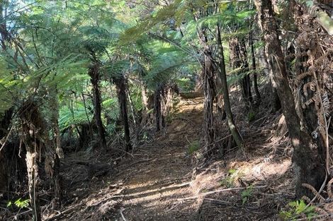 Photo of property in 211 Krippner Road, Puhoi, Warkworth, 0994