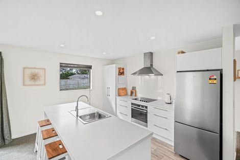 Photo of property in 17a Normanby Street East, Rakaia, 7710