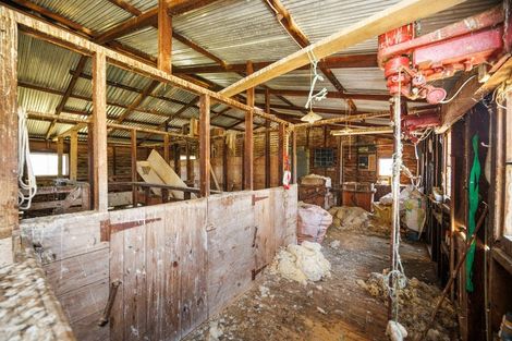 Photo of property in 176 Colemans Road, Marton, 4787