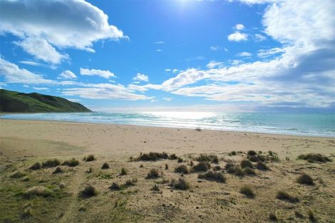 Photo of property in 9 Shoal Beach Road, Aramoana, Omakere, 4271