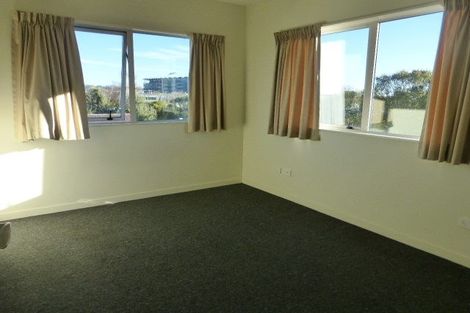 Photo of property in 20/30 Mathesons Road, Phillipstown, Christchurch, 8011