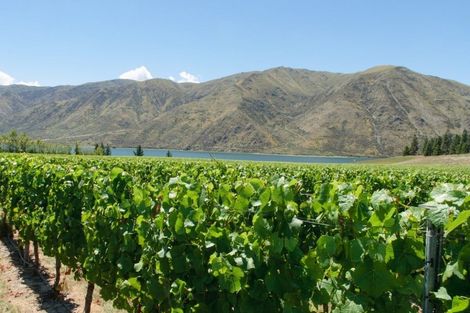 Photo of property in 49 Awahokomo Road, Kurow, 9435