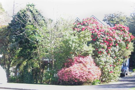 Photo of property in 407 Old Taupo Road, Springfield, Rotorua, 3015