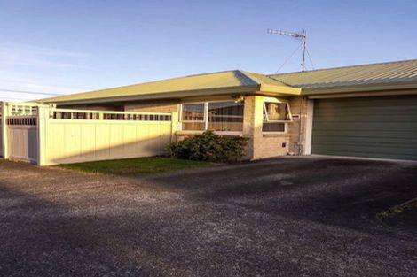 Photo of property in 61 Winchester Street, Levin, 5510
