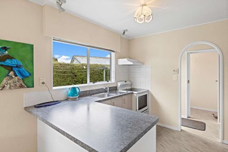 Photo of property in 19a Burn Street, Levin, 5510