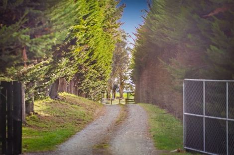 Photo of property in 321 Southbridge Leeston Road, Leeston, 7683