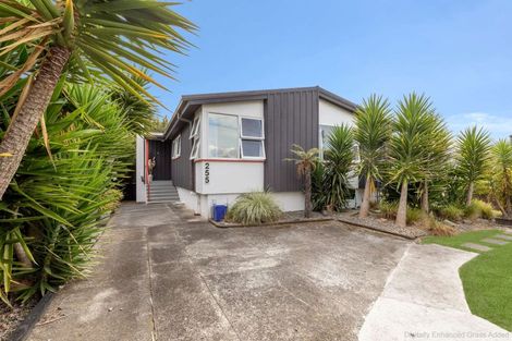 Photo of property in 255 Cambridge Street, Levin, 5510