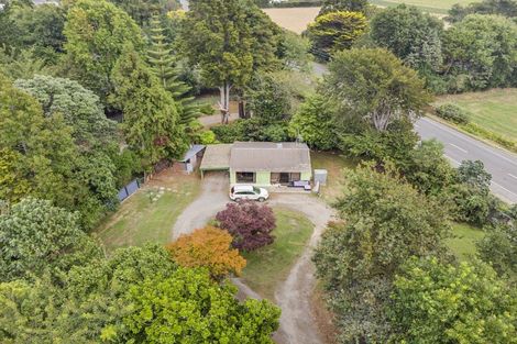 Photo of property in 114 Arapaepae Road, Levin, 5510