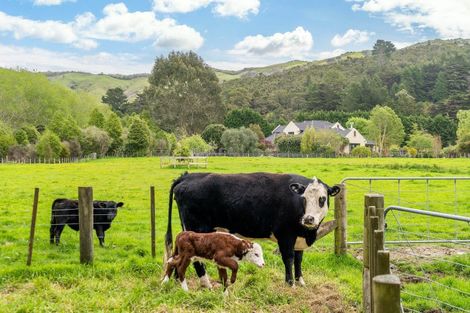 Photo of property in 43 Tvl Road, Blue Mountains, Upper Hutt, 5371