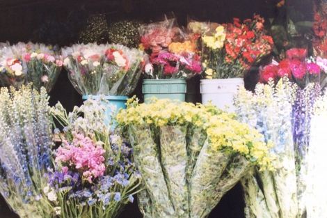 Photo of property in 94 Thews Road, Tinwald, Ashburton, 7778