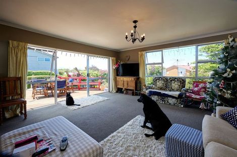 Photo of property in 11 Whitby Place, Kaikoura, 7300