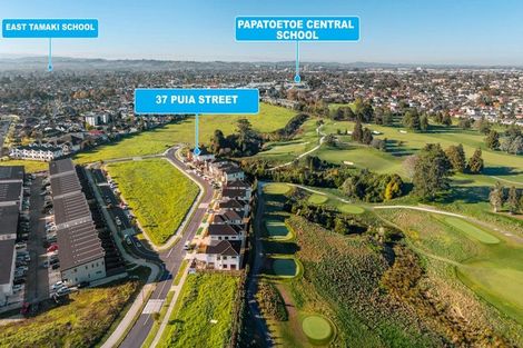 Photo of property in 37 Puia Street, Papatoetoe, 2025