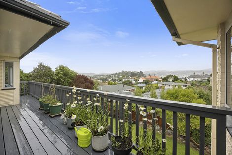 Photo of property in 10 Meuse Lane, Andersons Bay, Dunedin, 9013