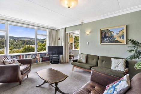 Photo of property in 47 Signal Hill Road, Opoho, Dunedin, 9010