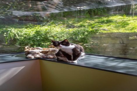 Photo of property in 17b Arawa Street, Raumati Beach, Paraparaumu, 5032