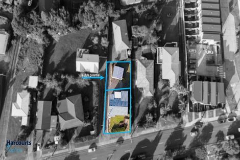 Photo of property in 96 Rosier Road, Glen Eden, Auckland, 0602