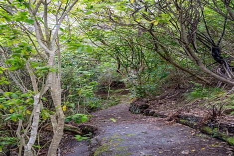 Photo of property in 157 Hinau Road, Waimauku, 0881