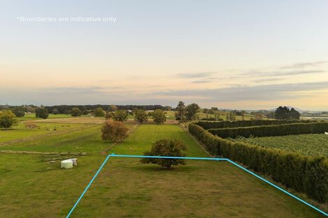 Photo of property in 55 Forkert Road, Ohaupo, 3803