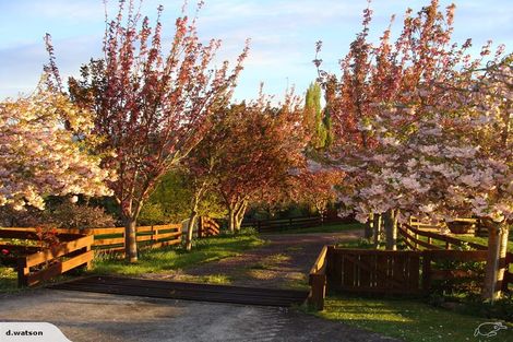 Photo of property in 99 Awakino Road, Te Kuiti, 3981