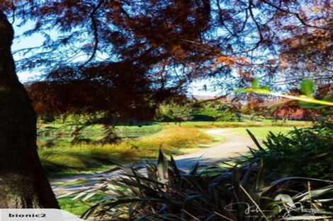 Photo of property in 58 Miller Road, Havelock North, 4130