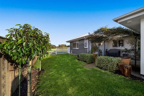 Photo of property in 2 Mercade Close, Stratford, 4332