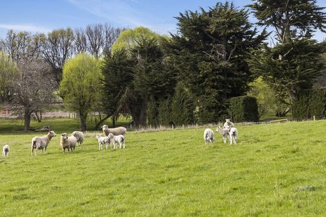 Photo of property in 309 Gladstone Road North, Mosgiel, 9092