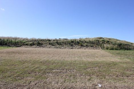 Photo of property in 207 John Burke Drive, Aotea, Porirua, 5024