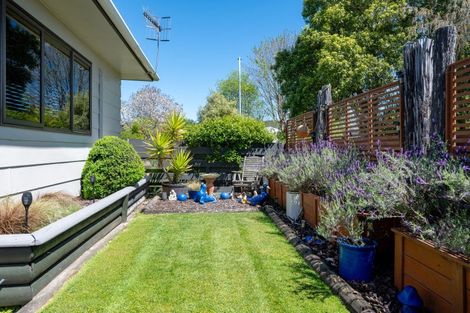 Photo of property in 38 Landscape Drive, Ngongotaha, Rotorua, 3010
