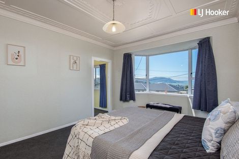 Photo of property in 19 Cuba Street, Calton Hill, Dunedin, 9012