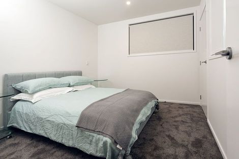 Photo of property in 21 Bings Lane, Richmond, Christchurch, 8013
