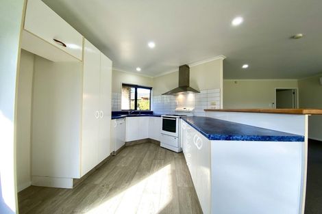 Photo of property in 17 Avonlea Lane, Pukekohe, 2120