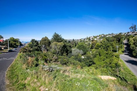 Photo of property in 61 Walter Street, The Glen, Dunedin, 9011
