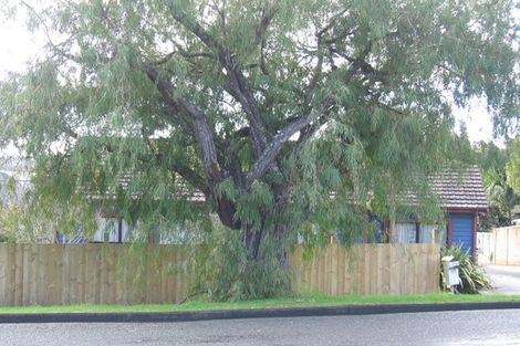 Photo of property in 33 Morningside Road, Morningside, Whangarei, 0110