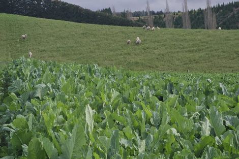 Photo of property in 420 Dunrobin Road, Fuchsia Creek, Oamaru, 9491