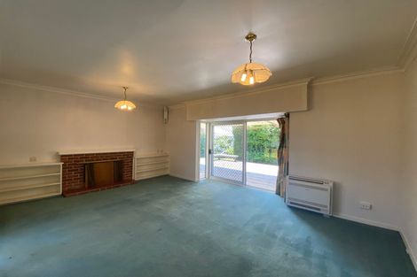 Photo of property in 390 Ulster Street, Beerescourt, Hamilton, 3200