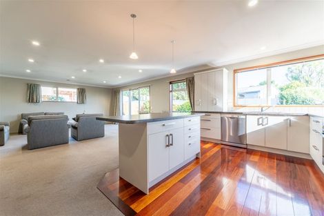 Photo of property in 115b Domain Avenue, Kensington, Timaru, 7910